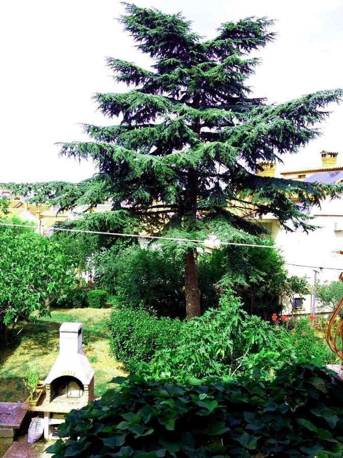 Apartment Silvana Rovinj Zewnętrze zdjęcie
